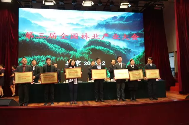 第三屆全國林業(yè)產(chǎn)業(yè)大會在京召開,大亞集團(tuán)再獲多項(xiàng)殊榮